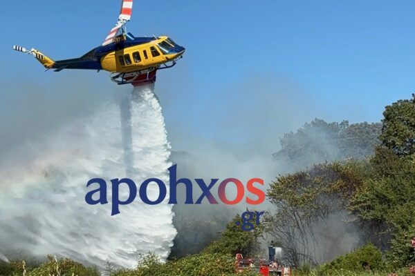 Υψηλός παραμένει ο ρυθμός αποψίλωσης των δασών – Πάνω από 40 εκατ. στρέμματα χάνονται ετησίως