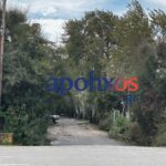 Φοινικούντα: Άρση απορρήτου του τηλεφώνου της ζητά η ανιψιά του 68χρονου θύματος